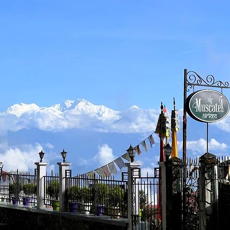 Muscatel Nirvana - At The Mall Road Darjeeling  Bagian luar foto